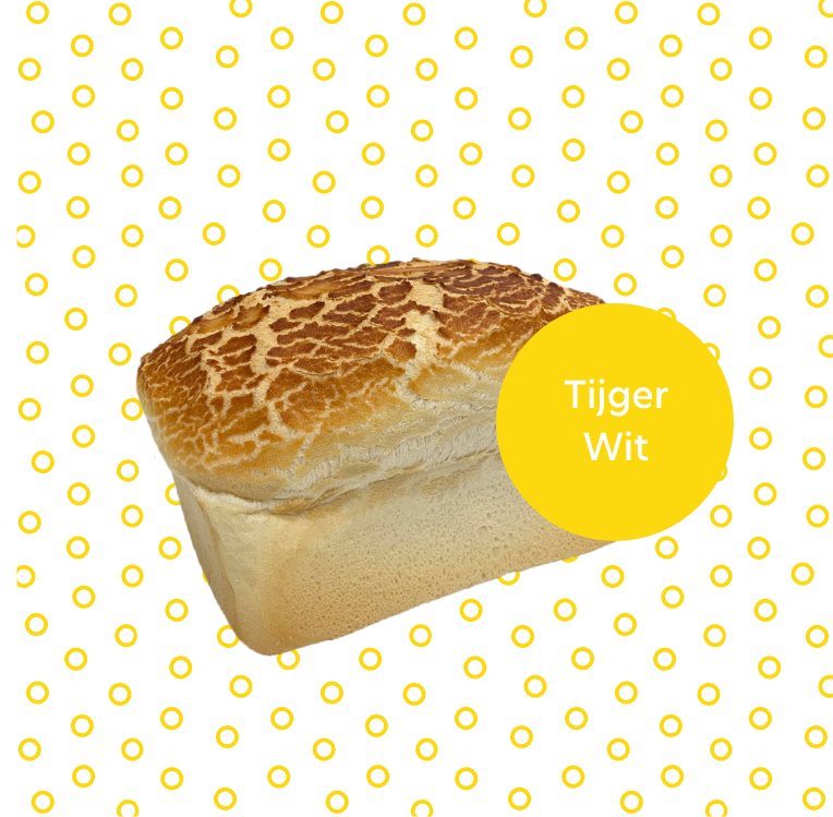 tijger wit