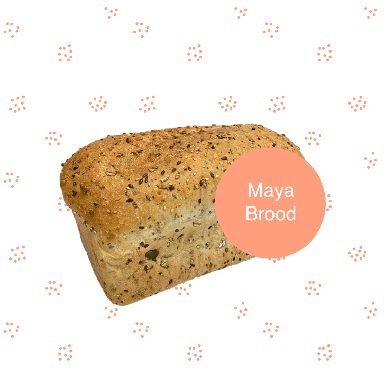 Maya brood